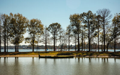 Allergies In Spring? Air Quality Solutions That Actually Help